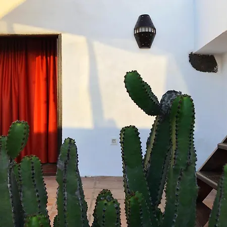 Semesterbostad Casa Lupe. Art-inspired Courtyard House In Teguise (Lanzarote)